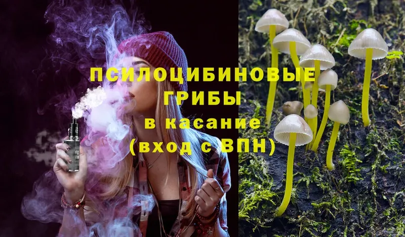 Псилоцибиновые грибы Psilocybe  где продают наркотики  Вилючинск 